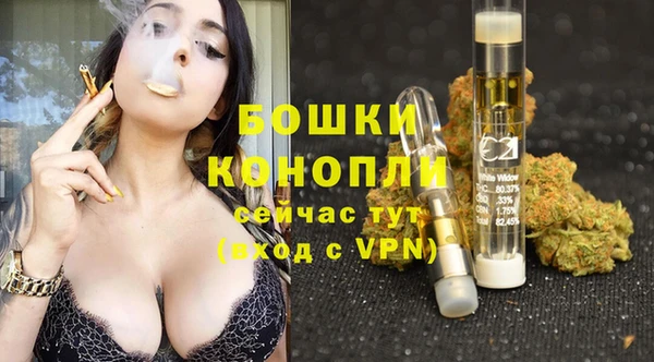 трава Абаза