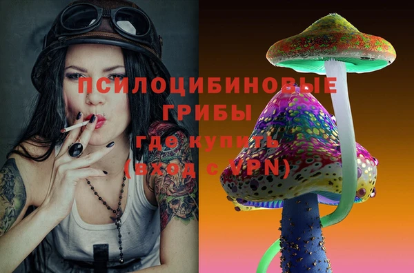 прущий лед Надым
