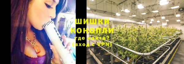 трава Абаза