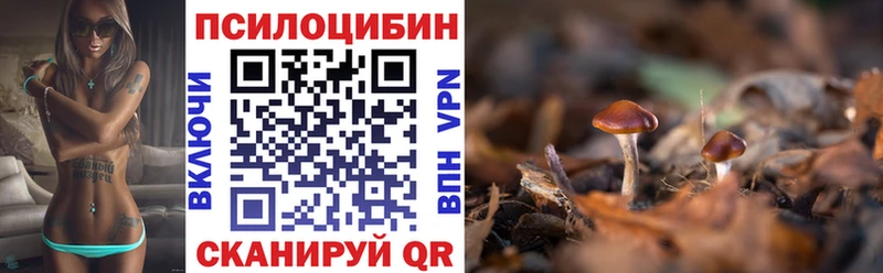 наркота  hydra сайт  Псилоцибиновые грибы Psilocybe  Суздаль 