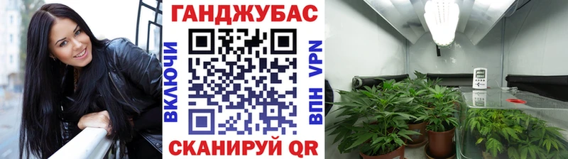 Шишки марихуана AK-47  купить  цена  Суздаль 
